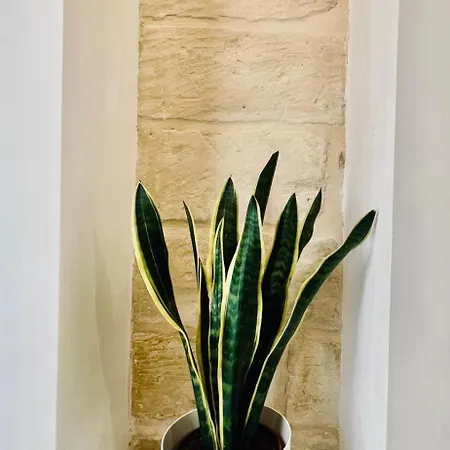 Il Melograno Vakantiehuis *